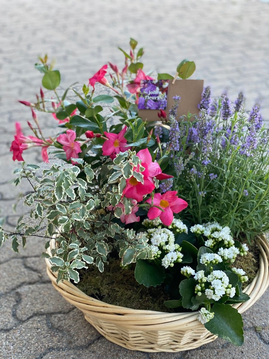 La coupe de plantes - Les jolies fleurs