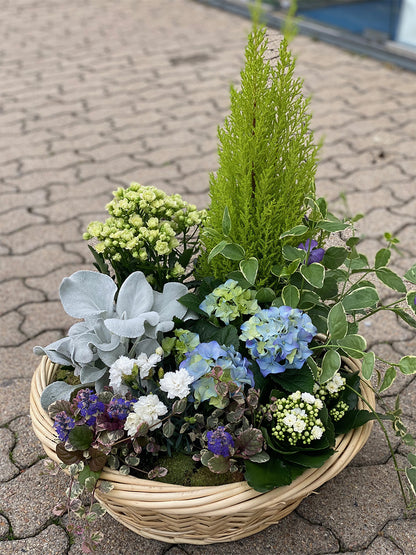 La coupe de plantes