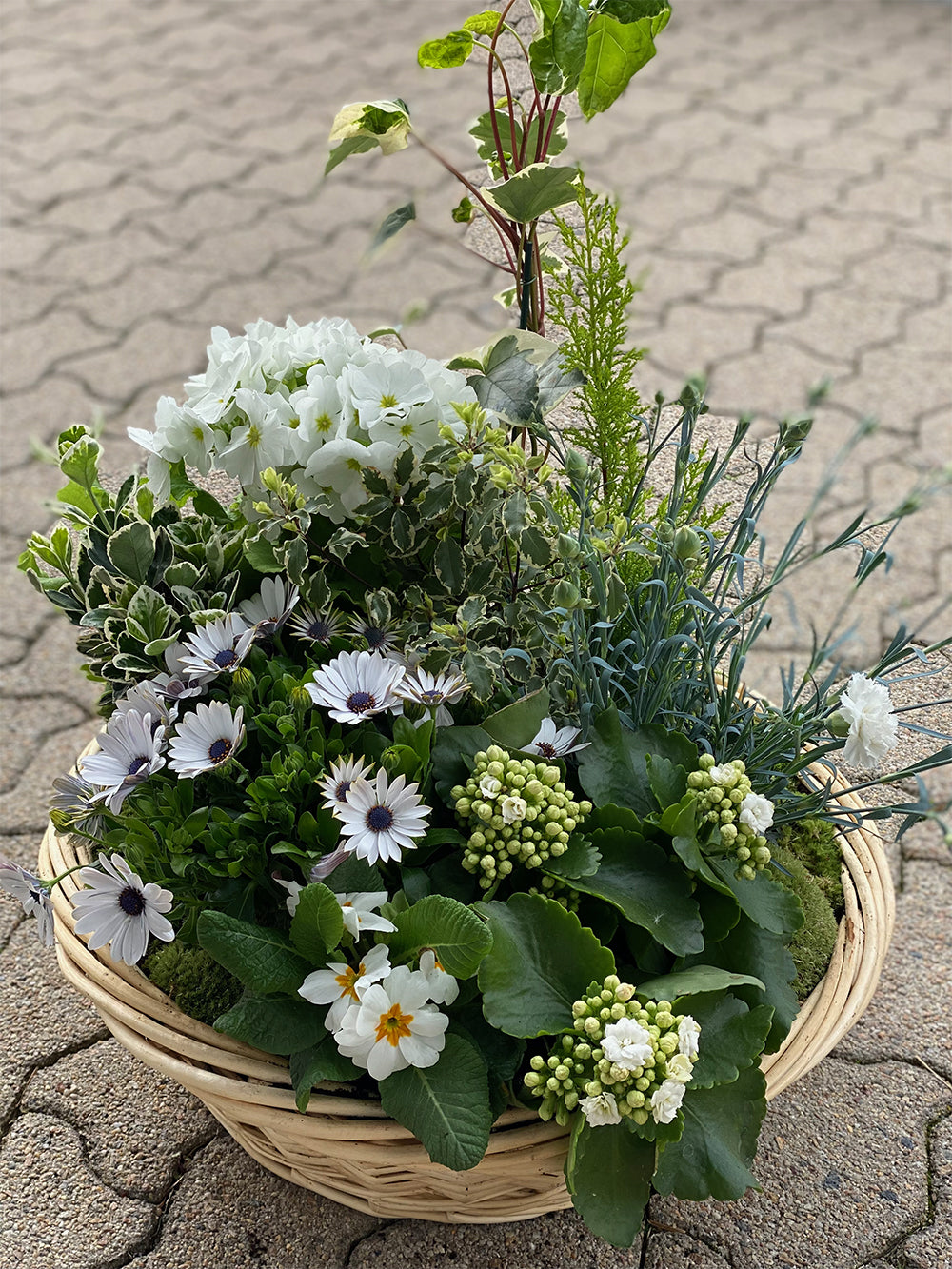 La coupe de plantes