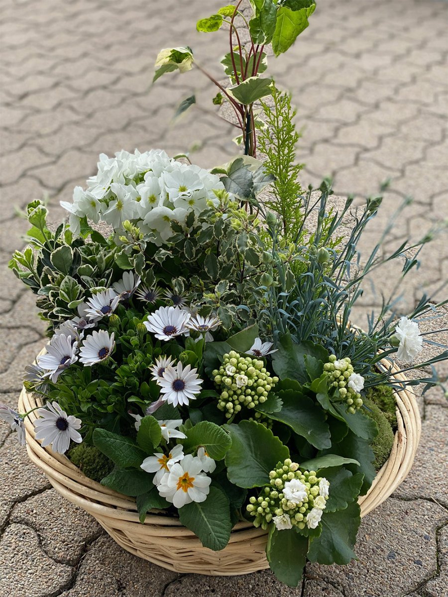 La coupe de plantes - Les jolies fleurs